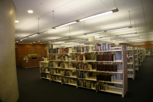 Xenian Lighting Blacktown Library