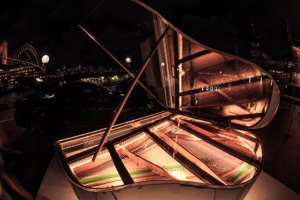 The Enlightening Piano, Vivid
